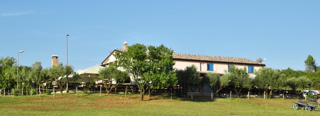 Bed&Breakfast Monte Rosso Poreč Exterior foto